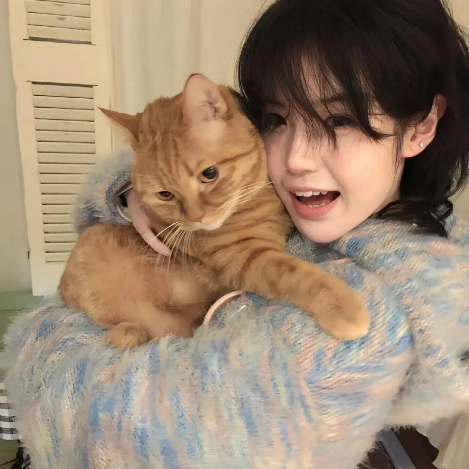 在地下城寻求邂逅是否搞错了什么第二季